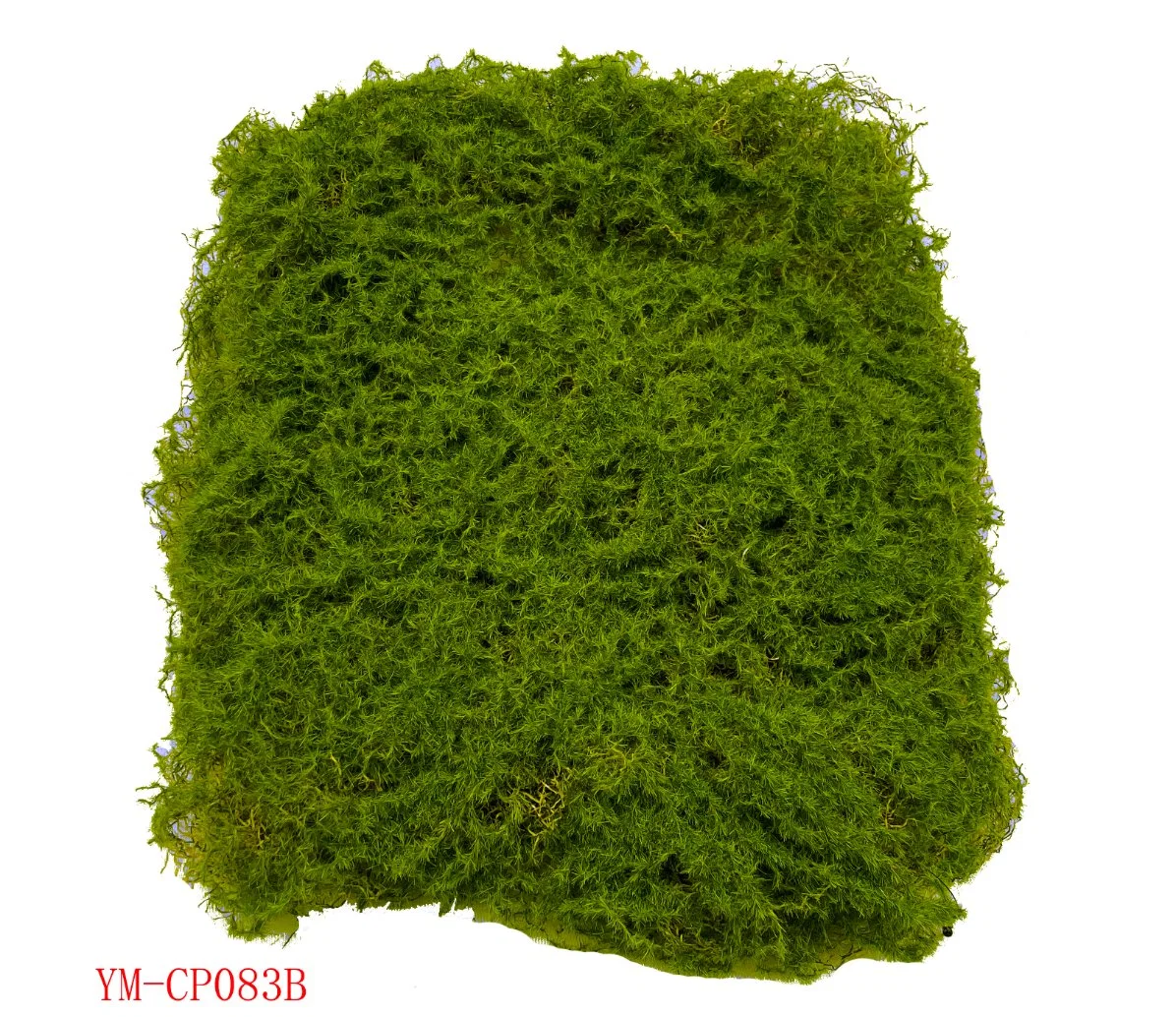 Grass Turf Artificial Moss Mat for Wall Decoration