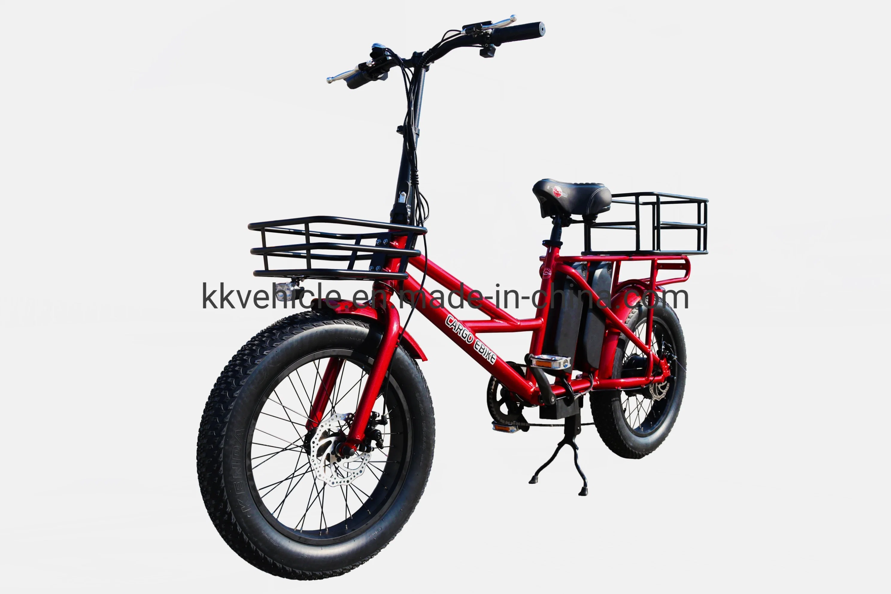 New Kind of Electric Bike with Two Sets of Batteries, Fat Tire and Long Distance