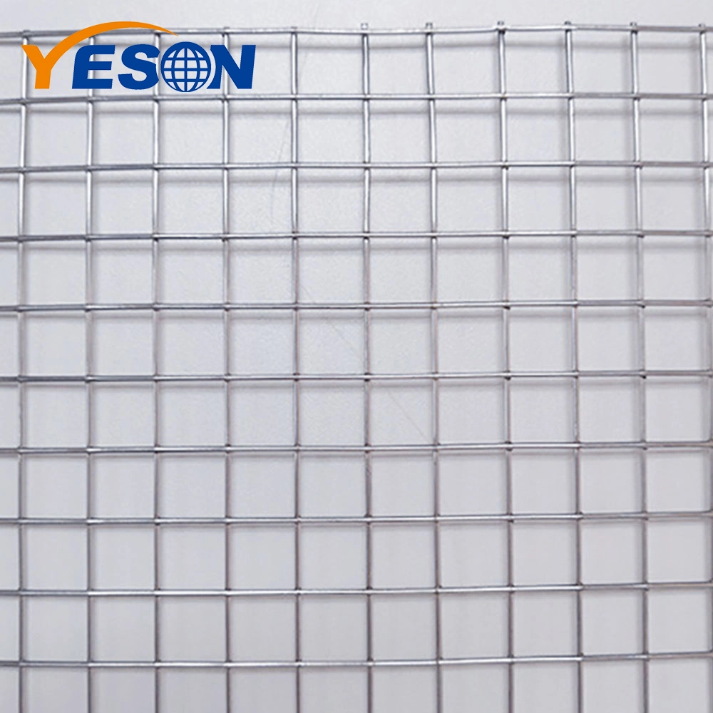 2X2 3X3 4X4 6X6 10X10 Galvanized Welded Wire Mesh PVC Coated Wire Mesh