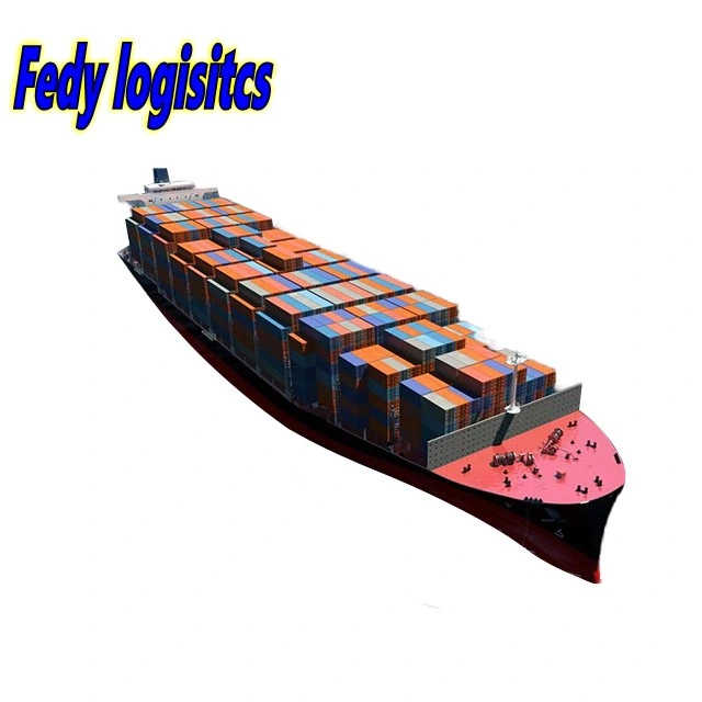 Professional Sea Freight Railway Forwarder Agent Shipping From China to Europe/Southampton