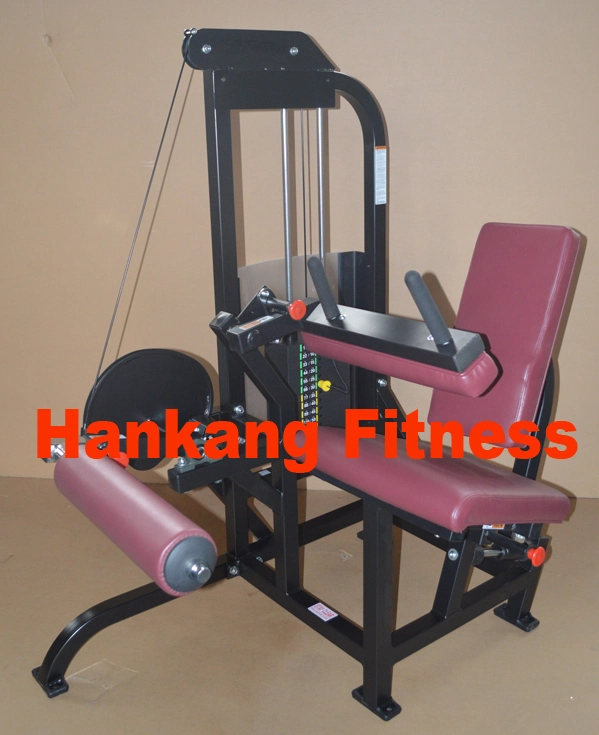 Commercial Strength, Gym and Gym Equipment, Body-Building, Seated Leg Press (PT-422)