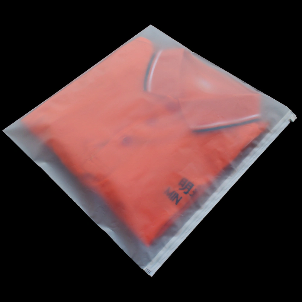 Packing Gift Promotion PLA Biodegradable Plastic Bag