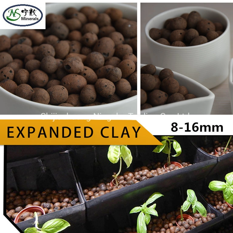 100% Natural crescente Médio Ceramic Leca bolas expandidas para potted Drenagem ou decoração de plantas