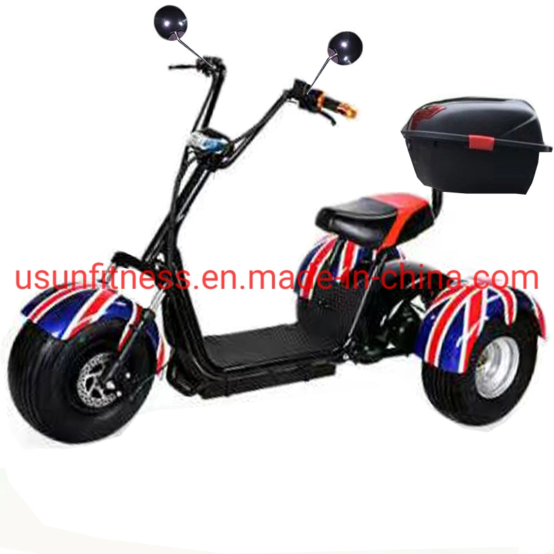 3 rodas Fat Tire City Coco Electric scooter e Motor Bike com CE