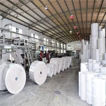 Hot Sales Coated Cardboard Paper Fbb Paper Board