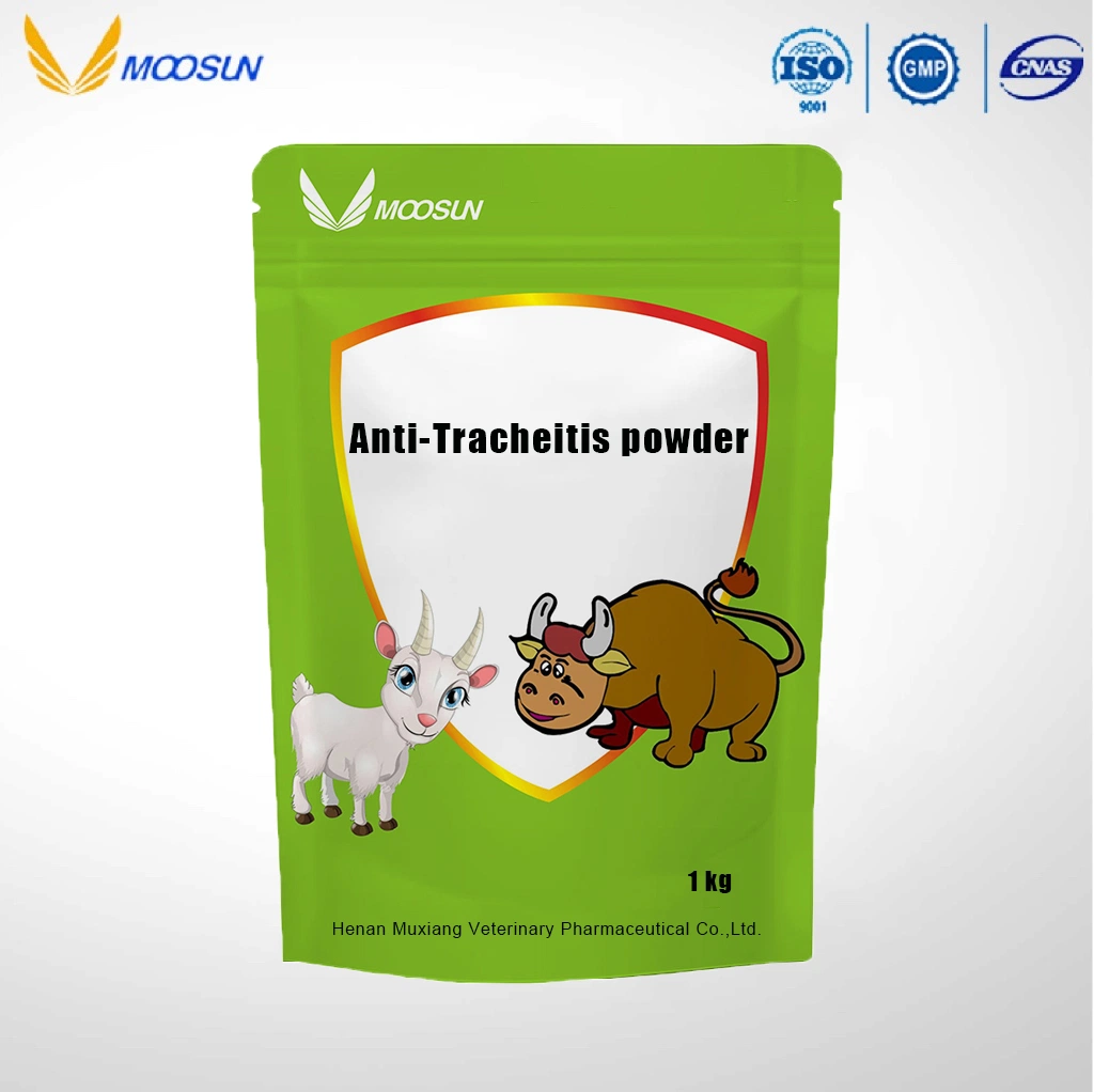 Manufacture Feed Additives Ingredients Campanulaceae Eucommia Leaf Anti-Tracheitis Powder for Animals Use with GMP ISO