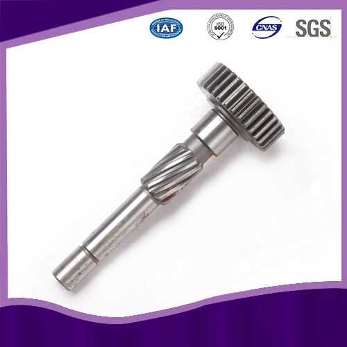 Stainless Steel Worm Gear Shaft with ISO 9001 Approved