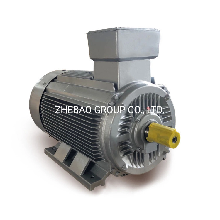 6 Poles 160kw 990rpm High Efficiency 3 Phase Induction AC Electric Motor