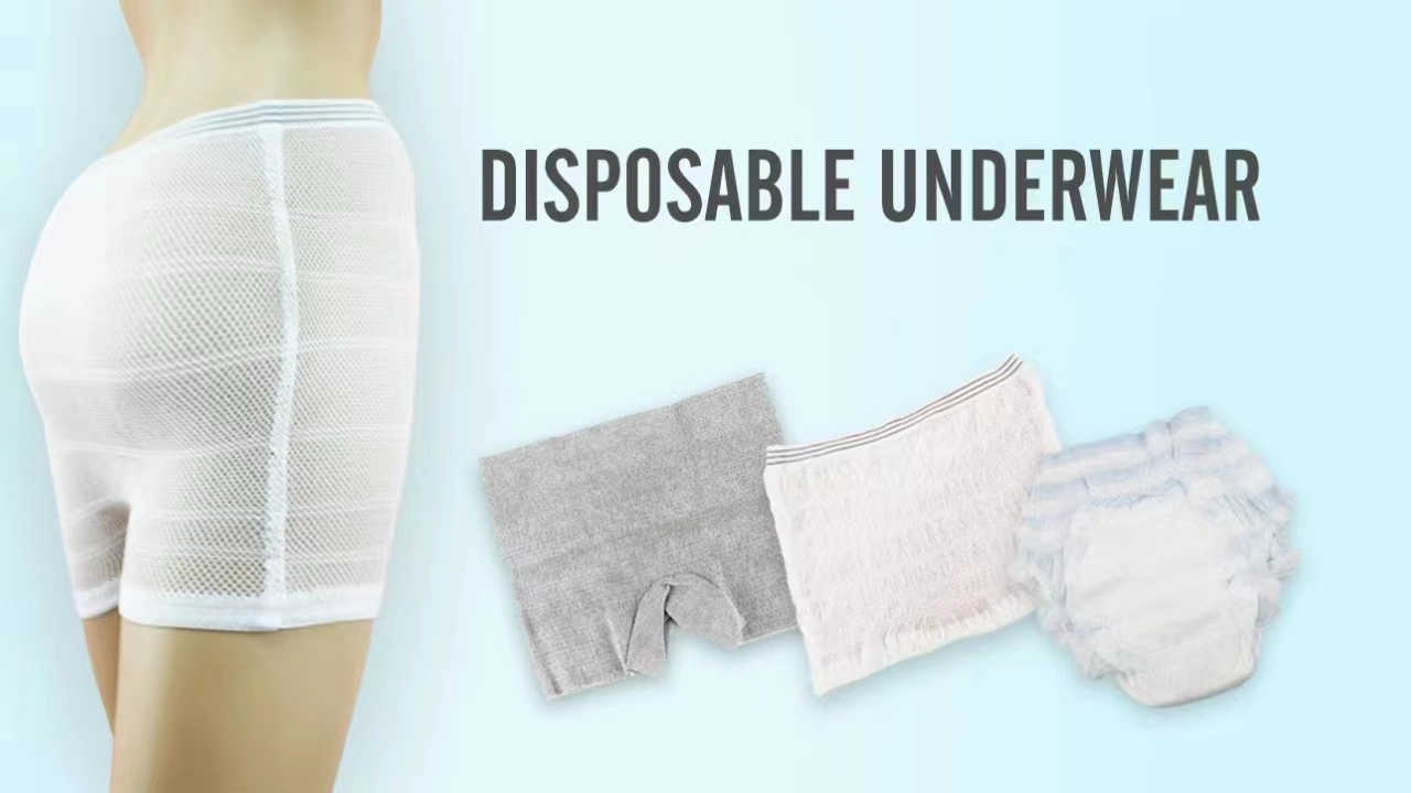 Incontinence Pants Panties Postpartum Mesh Briefs