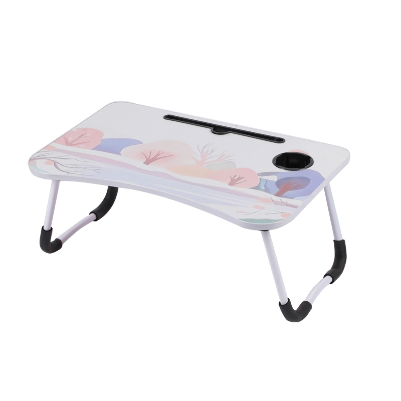 New Fashion Cartoon Picture Laptop Table with Drawer