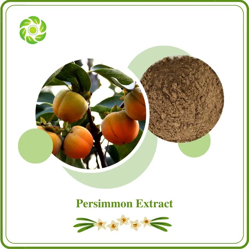 World Well-Being Biotech ISO&FDA Certified OEM Manufacturer Factory Supply Natural Botanical Extract 95% Tannins15% 20% Flavonoids Persimmon Extract