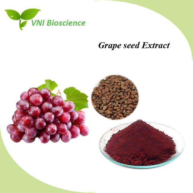 Kosher Certified Natural OPC 95% Grape Seed Extract