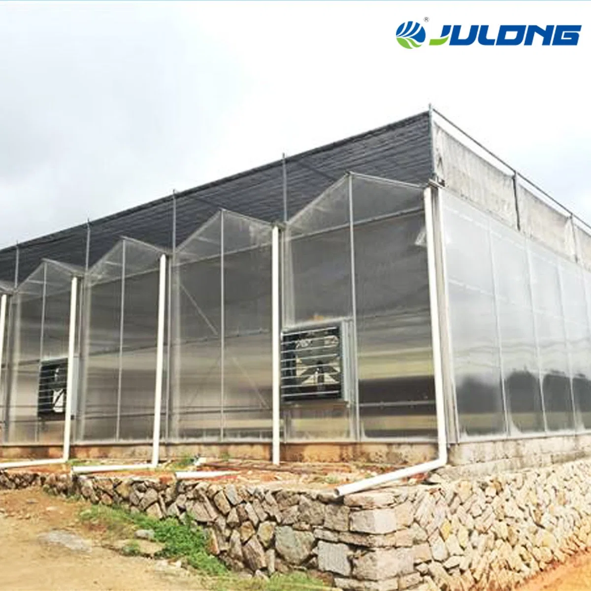 Cost-Effective PC Sheet Greenhouse for Tomato Hydroponic Growing in Middle Asia Area