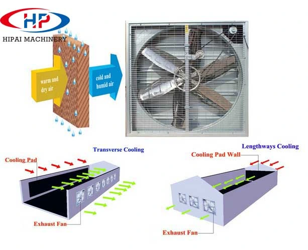 54" Inch Greenhouse Cooling Fan Exhaust Fan Poultry Cooling System