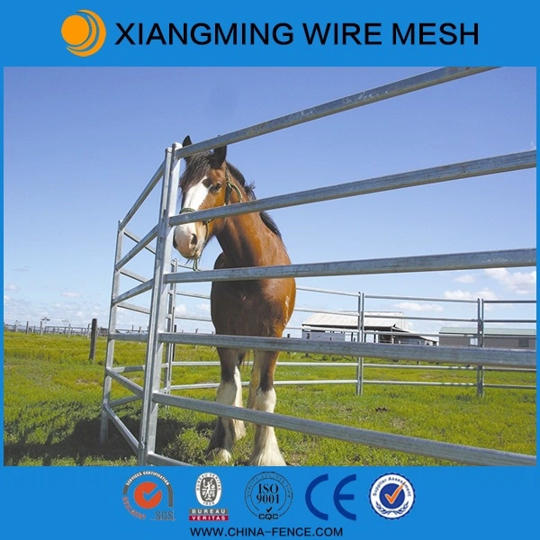 China Used Cattle Panels (with ISO9001 & SGS)