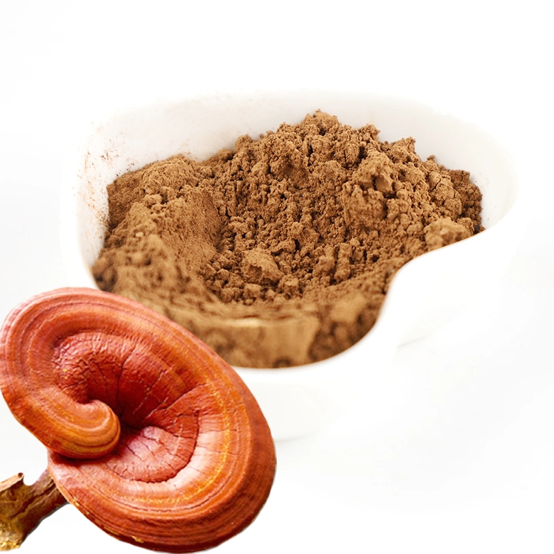 Ganoderma lucidum orgánico Lingzhi Reishi suplemento de salud de polvo de Setas