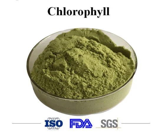 Hydrosoluble extrait naturel de chlorophylle poudre cuivre-sodium Chlorophylline