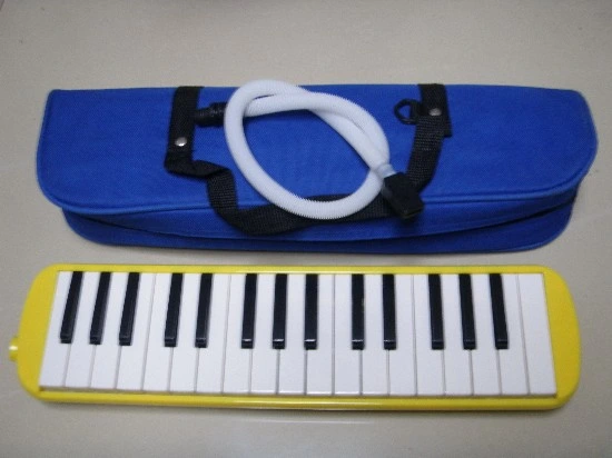 Melodica / Recorder / Musical Instruments (CM37A)