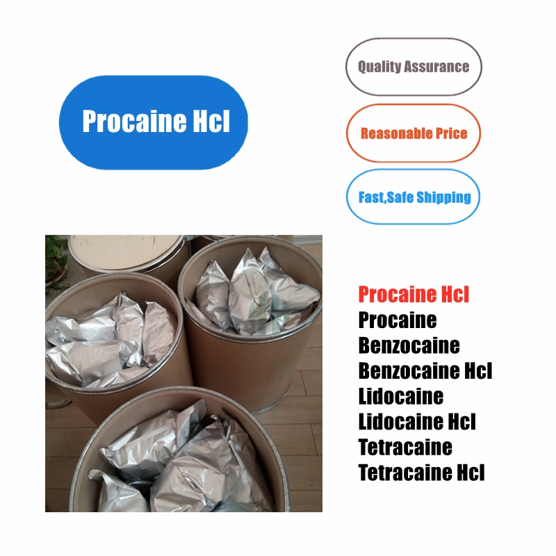 High Quality Procaine HCl with Fast Shipping Procaine Hydrochloride CAS 51-05-8