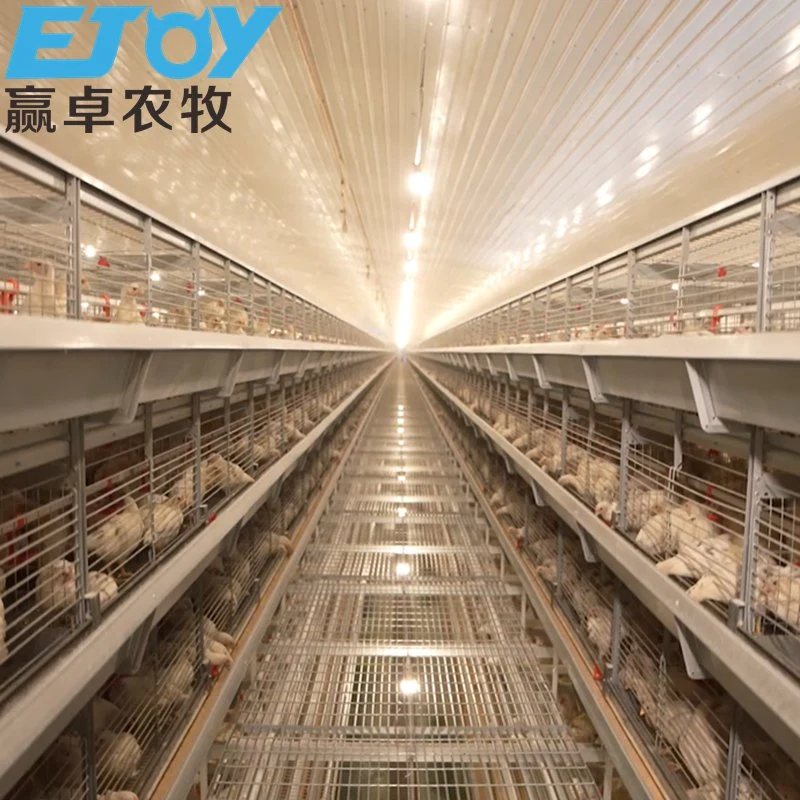 Hot Sale Complete Controlled Prefabricated Chicken House with Full Set Poultry Equipment