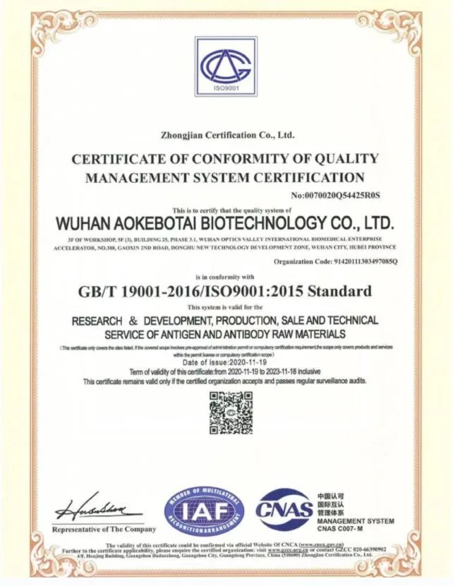 LH / Luteinizing Hormone Monoclonal Antibody