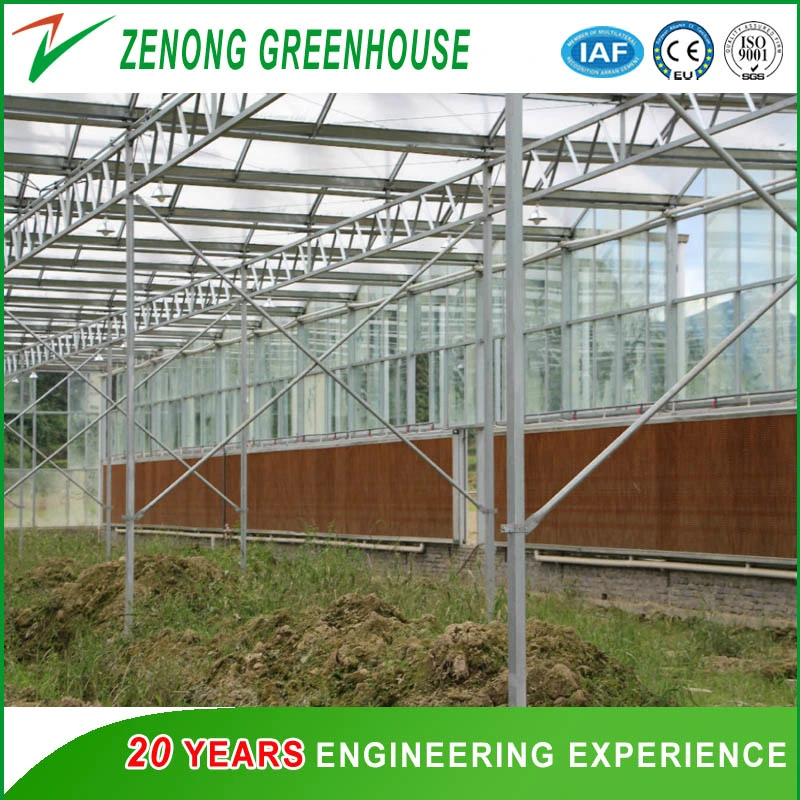 Intelligent Glass Greenhouse with Inside Shading Net for Vegetables/Seeding/Fruits