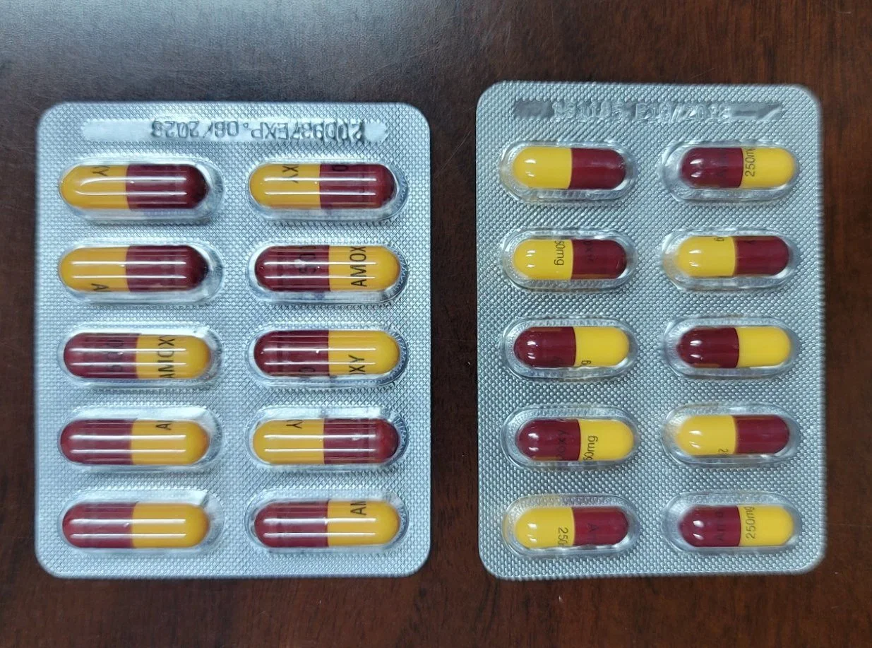 L'ampicilline CAPSULES 500mg médecine médicament Produits pharmaceutiques finis