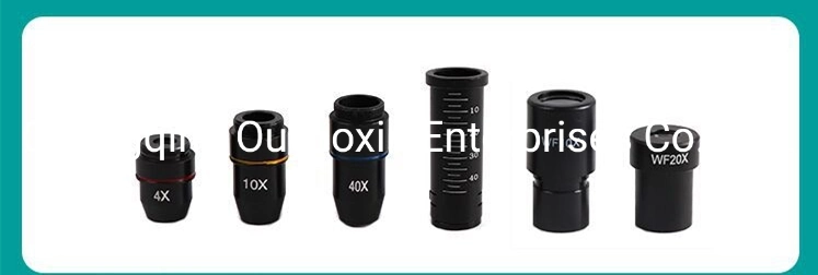 Tubo inclinado Binocular Xsz traslacional-107mn-B microscopio