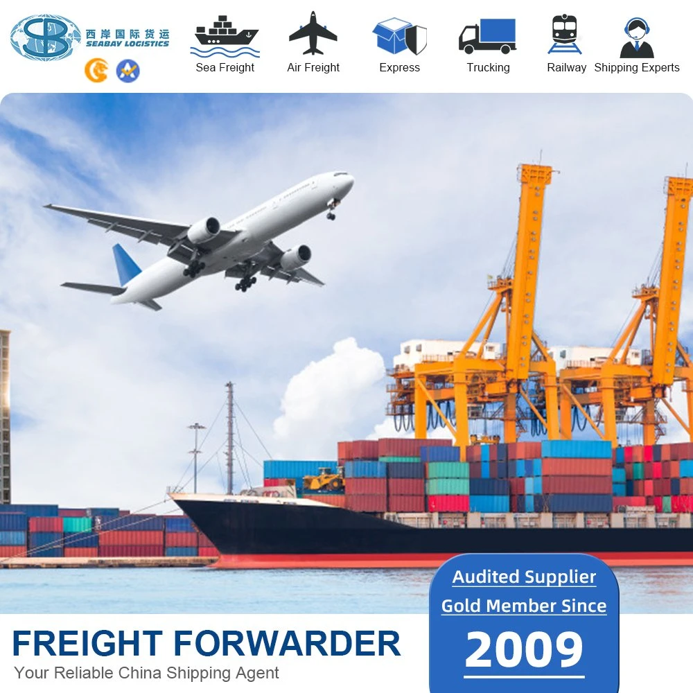 خدمة الشحن الجوي لشنغهاي إلى روسيا أو الشحن الجوي Forwarder للشحن