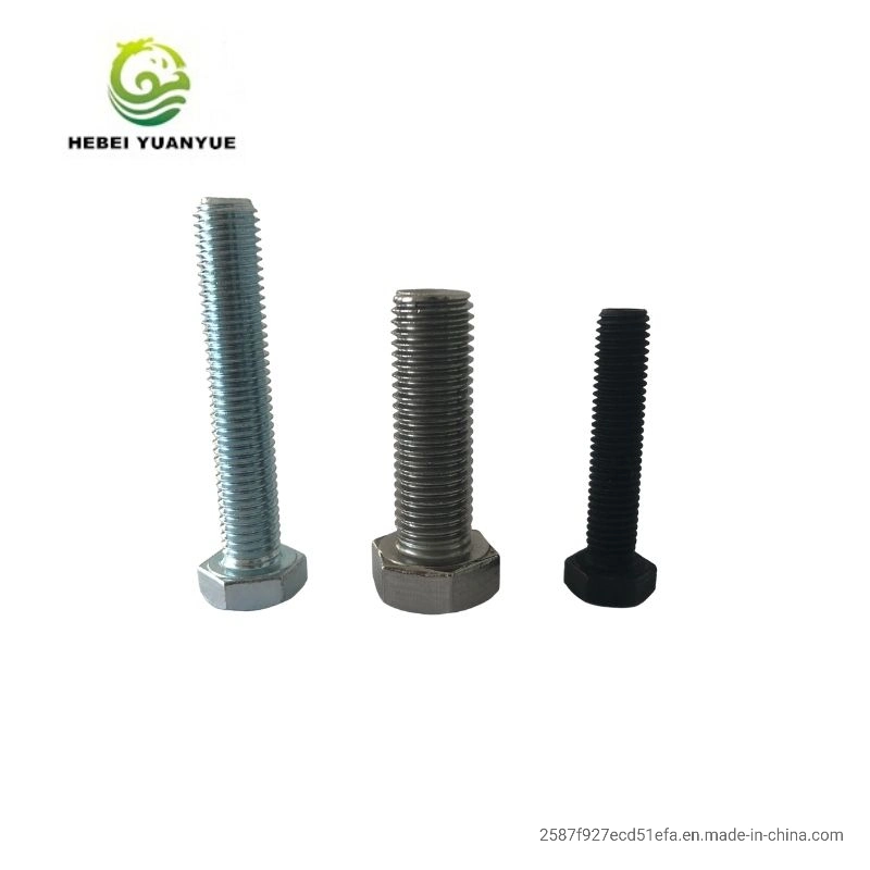 DIN934 Stainless Steel Heavy Hex Head Bolt and Nut