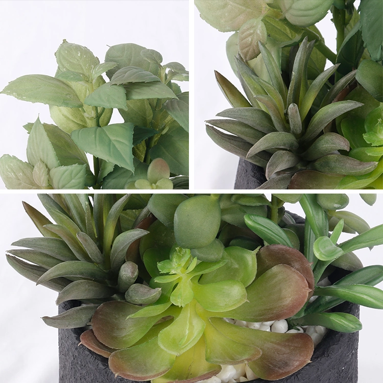 Mini plantas artificiales Faux Succulents decoración del hogar Korean Succulents