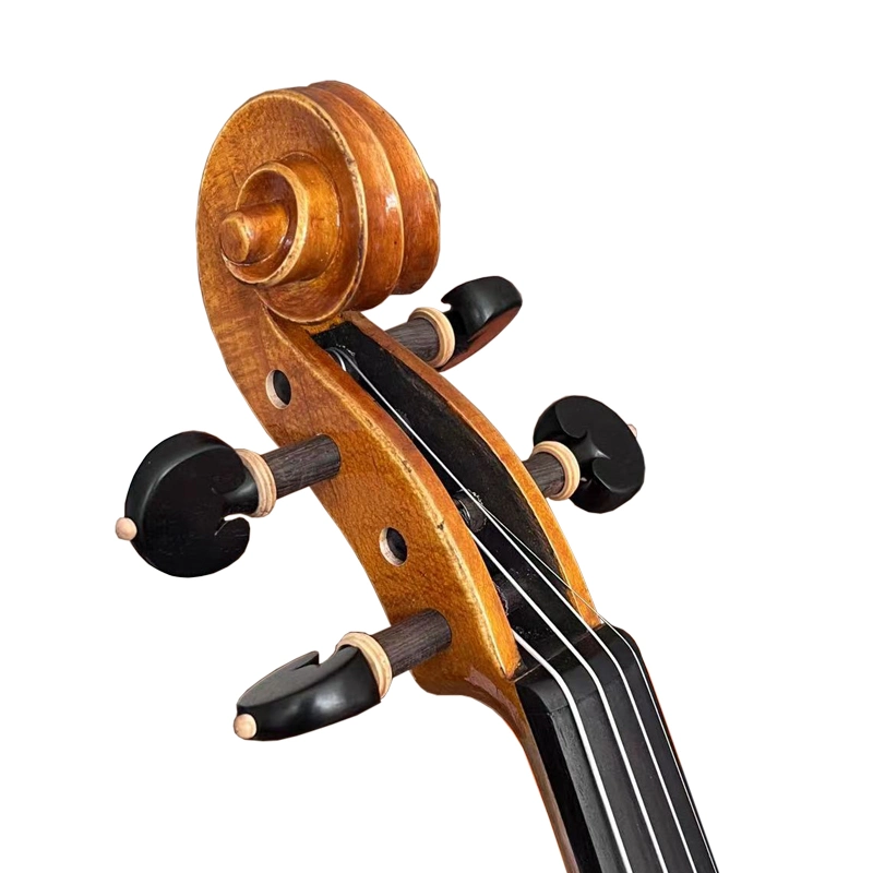 Sinomusik Full Handed Golden Orange Brown Violin Hv09g