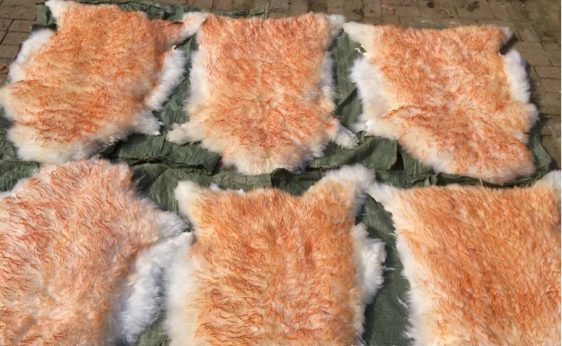 High quality/High cost performance  Merino Sheepskin Lambskin Wool Tip-Dyed Stripes Great Wool for Garment