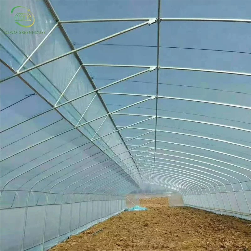 Cheap Agricultural Single Span Poly Film Tunnel Greenhouse with Irrigation and Hydroponics Growing System Spacious Greenhouse for Plants Medical Plants