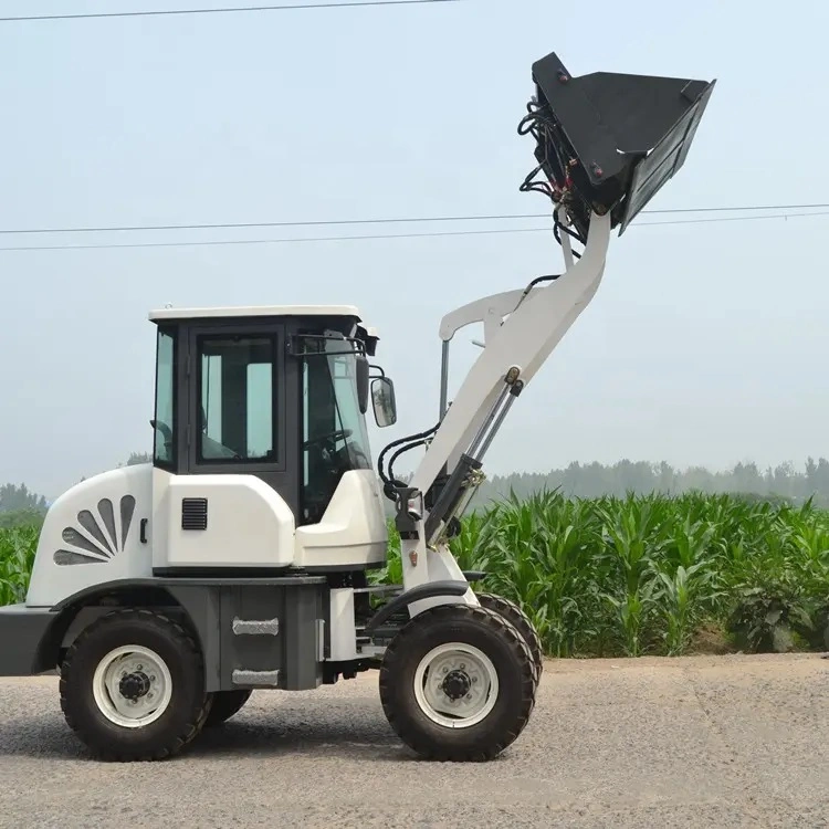 Zoonlech Loaders, Pavement Engineering of Hydropower Station, Workshop Construction