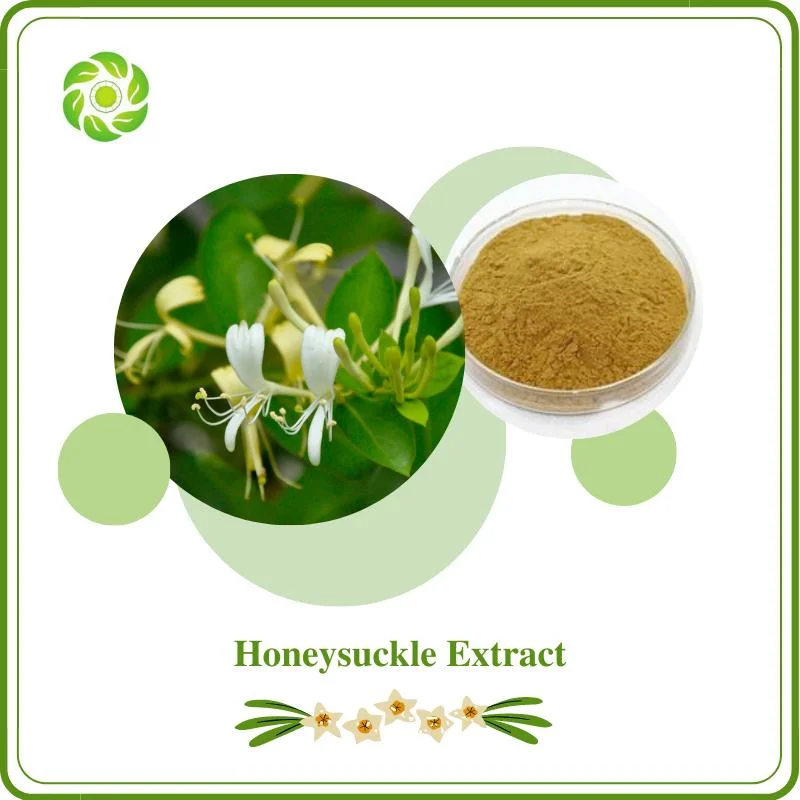 Free Sample 5%-98% Chlorogenic Acid Whitening Antioxidant Anti-Aging Protect The Liver Type 2 Diabetes Herbal Medicine Honeysuckle Extract