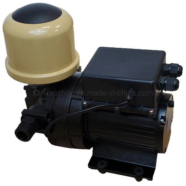 Dispensing Water Pump Open Flow 20L/Min Built-in Pressure Switch 0.45MPa (65psi) off -Basic Customization