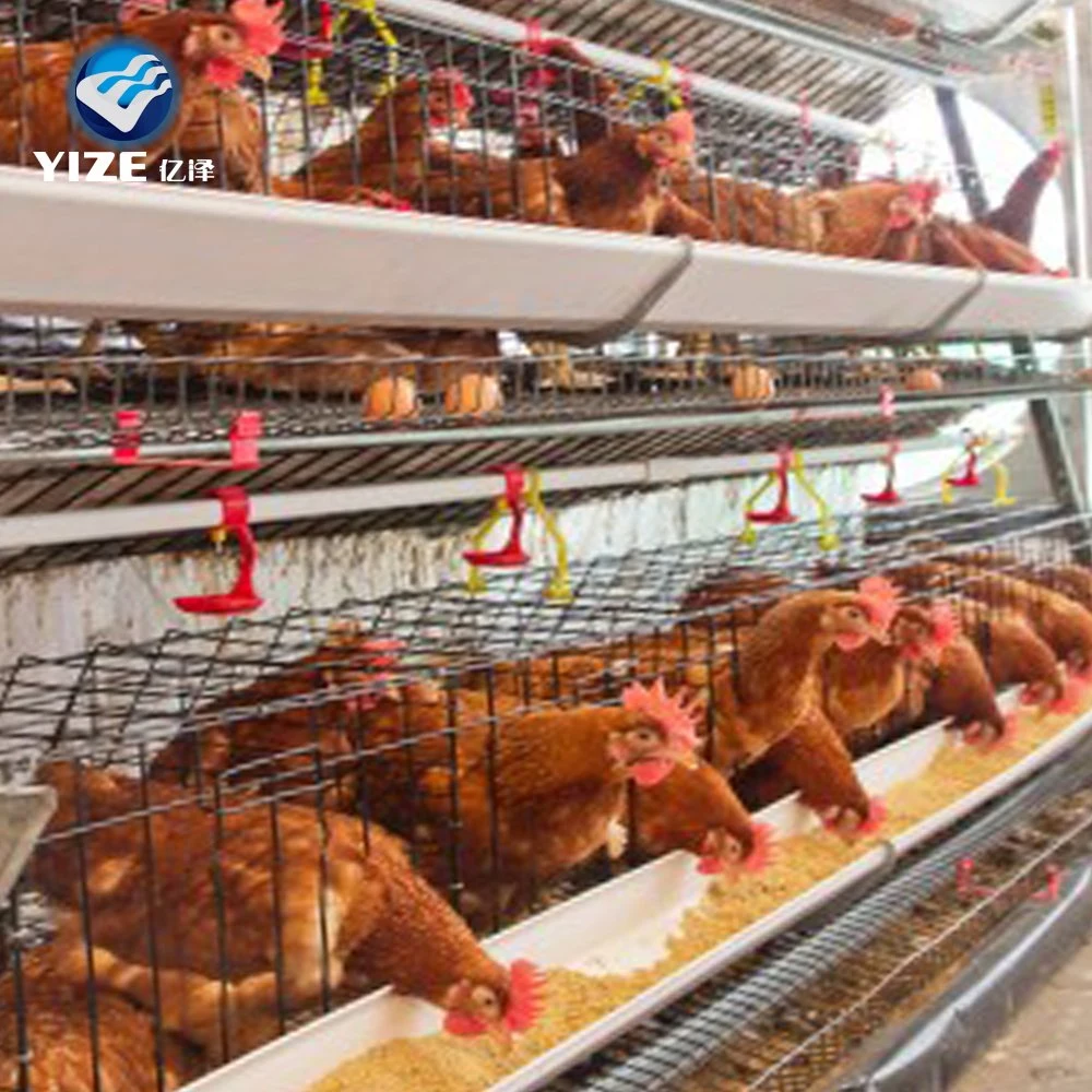 Hot Sale une couche de type 4 de la cage de poulet galvanisé pour l'Éthiopie ferme avicole