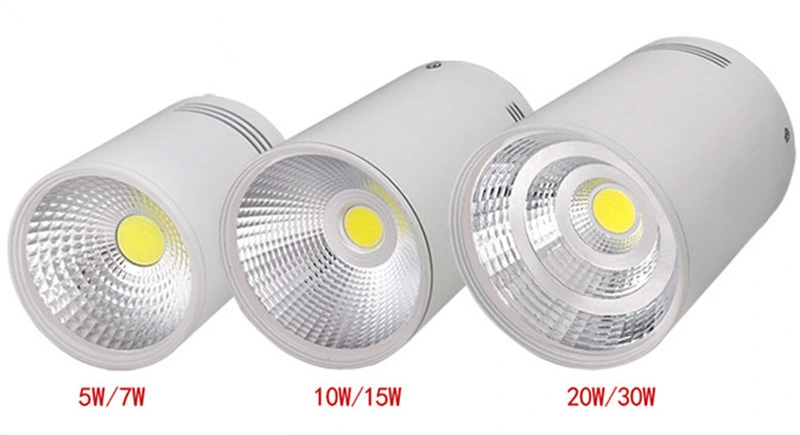 Hot Selling Metal Embedded Indoor Home Office Hotel Ceiling Surface Downlight LED Spot Down Light 9W