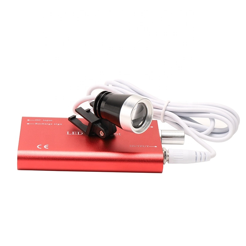 Portable Lighting for Dentists with 2.5X 3.5X Magnification and LED Light