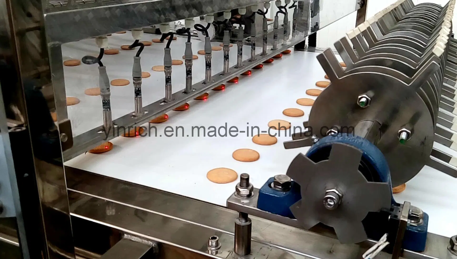 Chocolate Pie Making Machine Macarons Machinery Sandwiching Machine Chocolate-Coated Marshmallow Depositing on Biscuit (JXJ1000) with Ce ISO9001