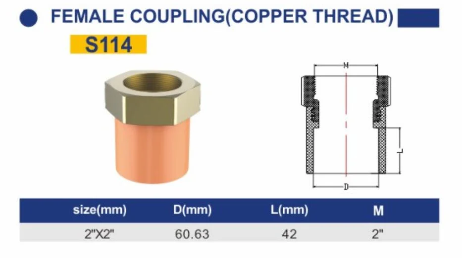 CPVC Fire Sprinkler System Industry Pipe and Fittings Female Coupling