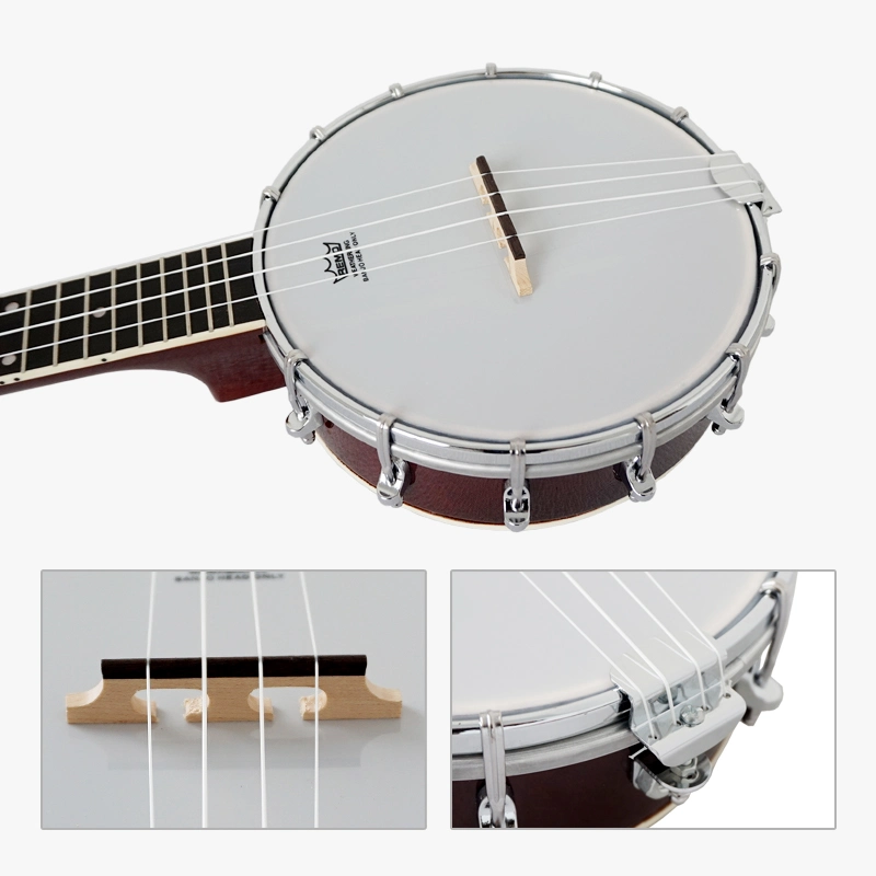 Aiersi Tenor Professional China Bnajo Musical Instrument