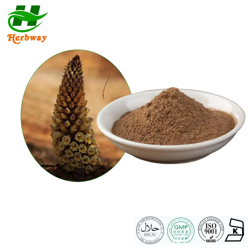 Herbway 100% Pure Native Cistanche Tubulosa Extract Cistanche Deserticola Extract