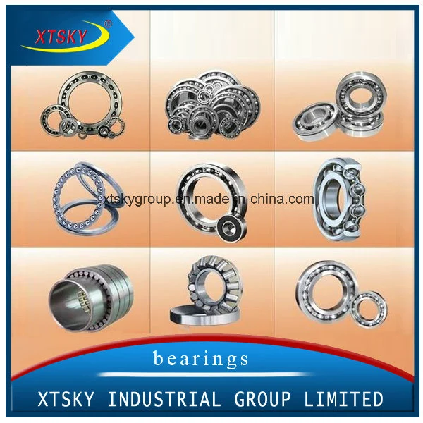 Xtsky Good Quality Auto Clutch Release Bearing (CT1310)