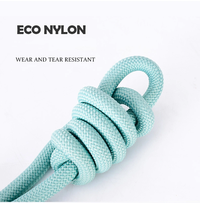 Nylon Chien de compagnie en tirant la corde de coton de la formation laisse et collier chien en laisse définir