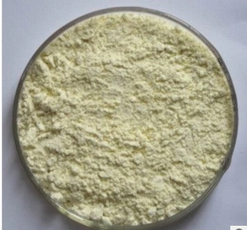 Camptotheca Acuminata Extract Camptothecin 98% Powder CAS 7689-03-4