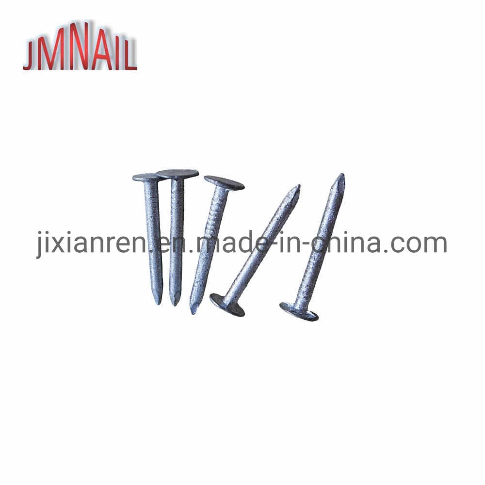 1"Xbwg11 Hot Bunded Galvanized Roofing Nails