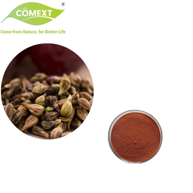 Comext Cosmetic Grade Plant Herbal Extract Grape Seed Oil Health Food with Halal Kosher Proanthocyandins