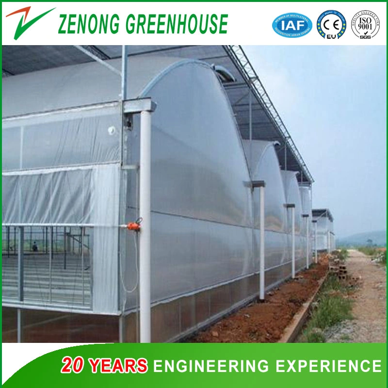 Poly Film Overwintering Vegetable Greenhouse for Tomato/Green Cucumber/Flower Cultivation/Ecological Hotel